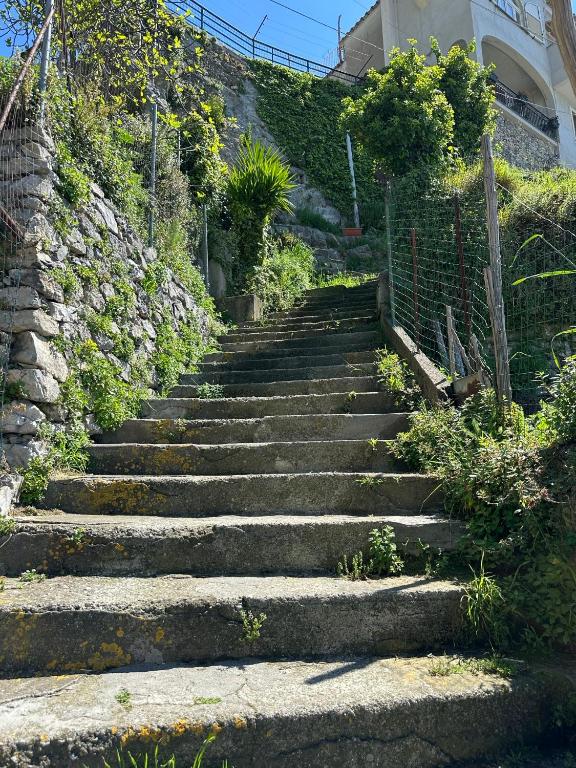 Fotografie z fotogalerie ubytování B&B Mamma Rosa Positano v destinaci Positano