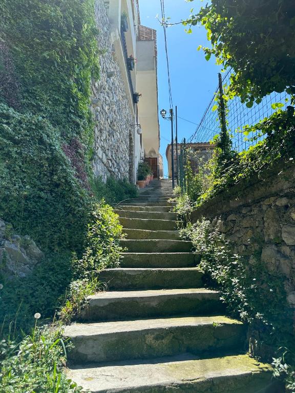 Fotografie z fotogalerie ubytování B&B Mamma Rosa Positano v destinaci Positano