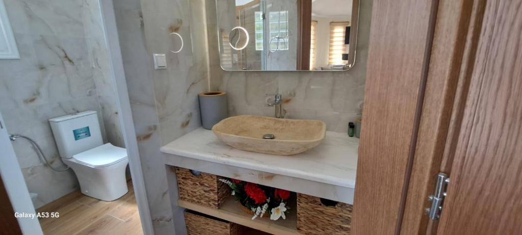 a bathroom with a sink and a toilet at Vassiliki Studios in Andros