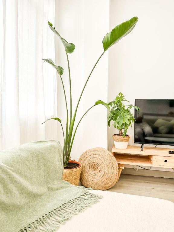 TV a/nebo společenská místnost v ubytování A Lobeira Grande by ALÔGA