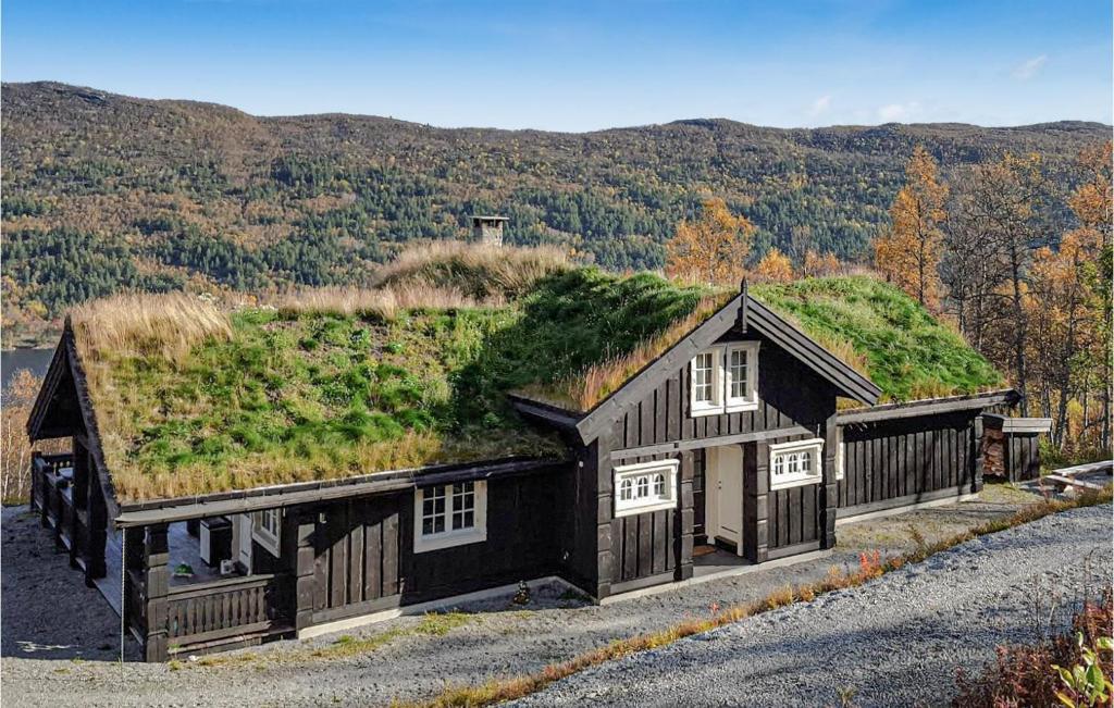 a building with a grass roof on top of it at Awesome Home In Geilo With Sauna in Skoro