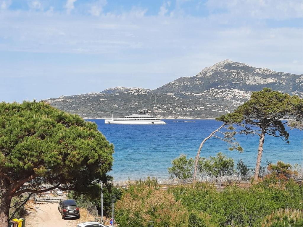 a cruise ship in the water with mountains at T2 VUE MER accès plage in Calvi