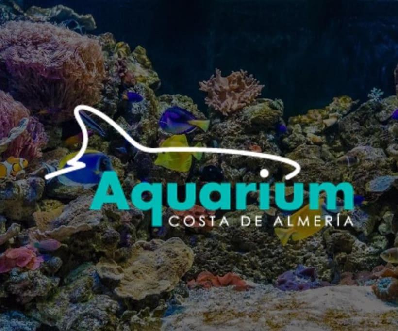 Fotografie z fotogalerie ubytování Apartamento Nicoletta v destinaci Roquetas de Mar