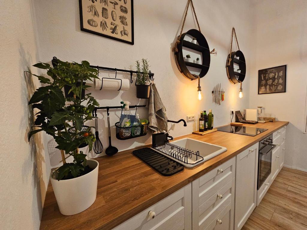 a kitchen with a counter with plants on it at surf.Lend in Graz