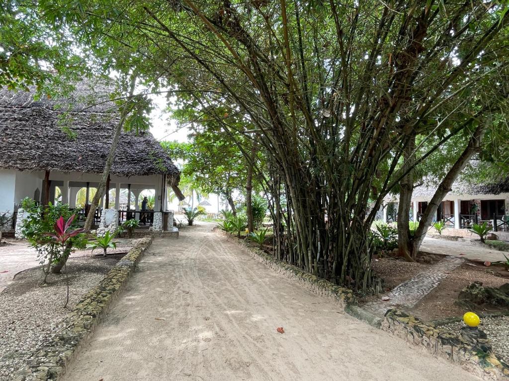 Zahrada ubytování Mambo Ocean Resort