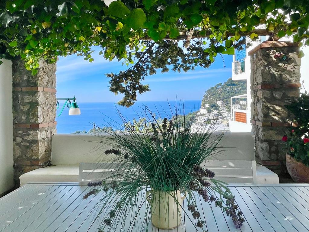 卡普里的住宿－Villa Olive，一张桌子上的花瓶,享有海景