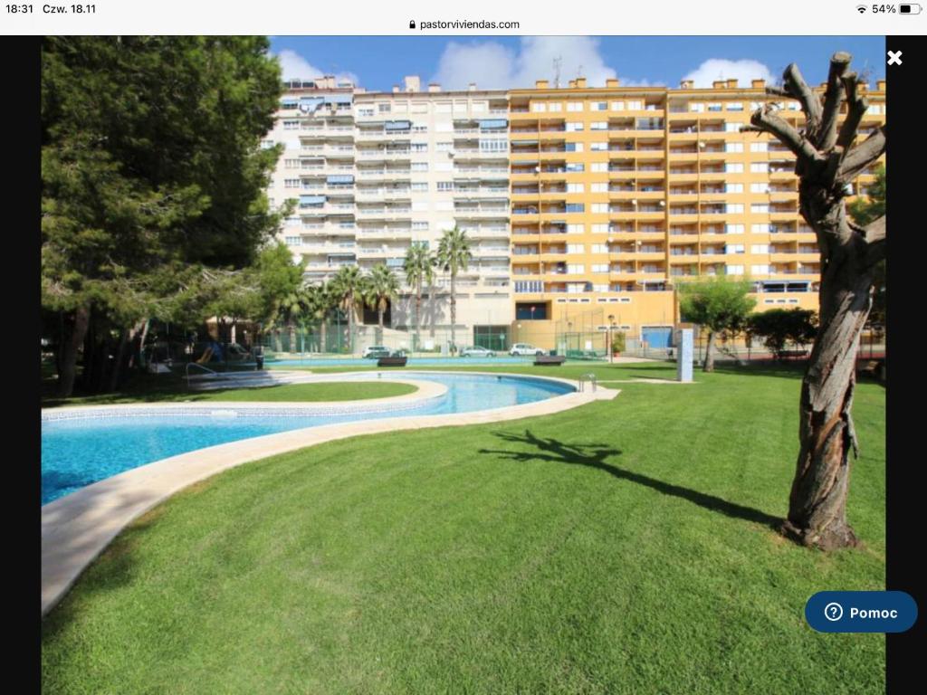 Altos de Campoamor, Dehesa de Campoamor – Precios ...