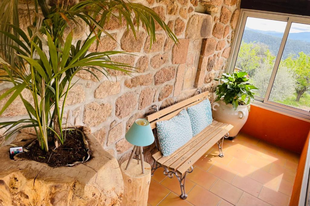 a porch with a bench and plants in a stone wall at Le Planzollais in Planzolles