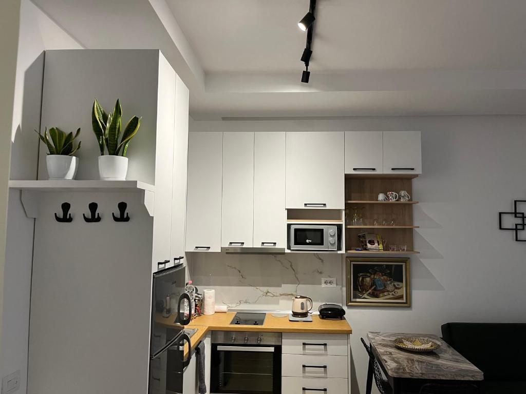 Comfy Nest Apartment- free parking - Imazhi 4