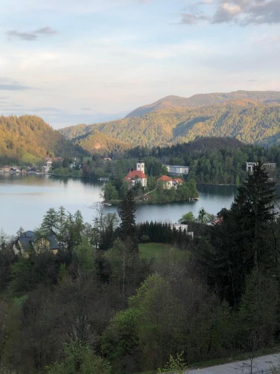 a view of a lake with houses and trees at Lakeview Guesthouse & Chalet Bled in Bled