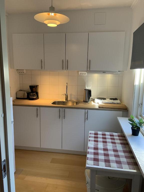 Kuchyň nebo kuchyňský kout v ubytování Villa Linneryd 1
