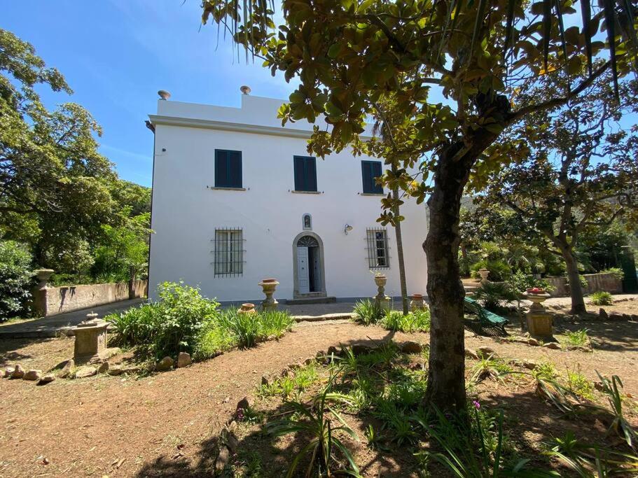 een wit huis met een boom ervoor bij Villa con ampio giardino a due passi dal mare in SantʼAnna