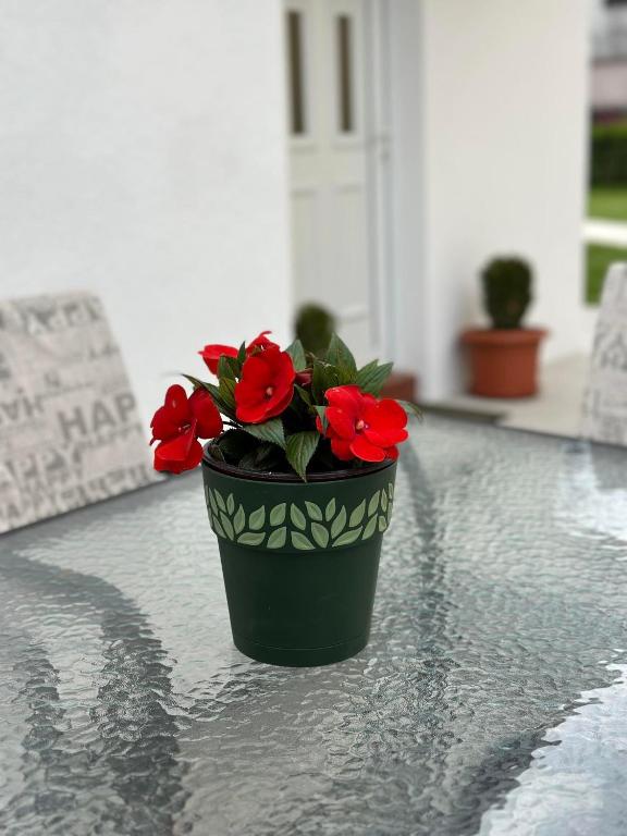 Apartmani Emily & Jully - 12