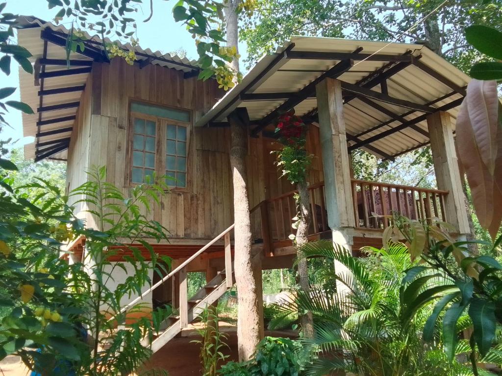 une cabane dans les arbres dans les bois dans l'établissement Ruk Sewana Villa Tree House, à Sigirîya