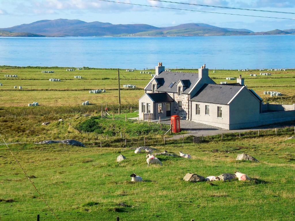 a house in the middle of a field with sheep at Kilbride Beach Cottage in Pollachar