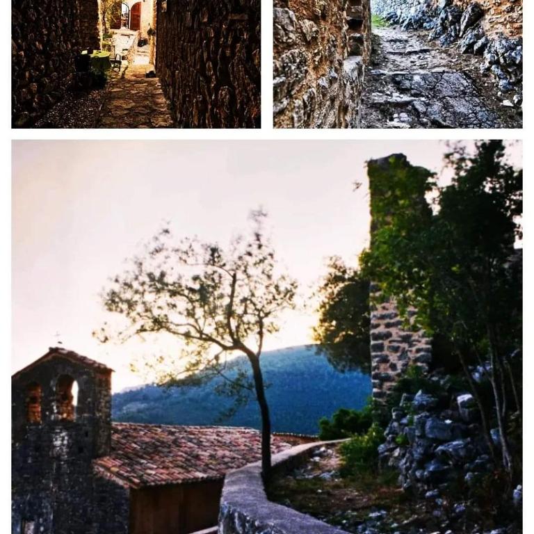 Paesaggio naturale nelle vicinanze of country house