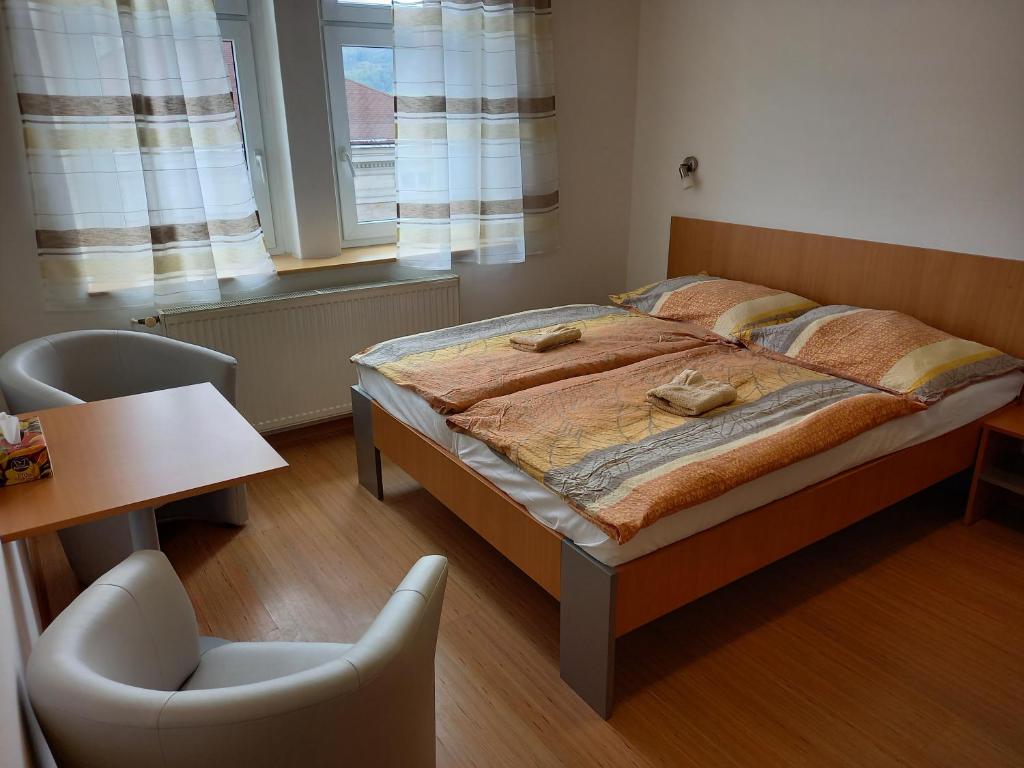 a bedroom with a bed and a desk and a chair at Hostel Děčín in Děčín
