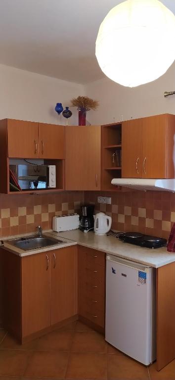 Kuchyň nebo kuchyňský kout v ubytování Apartments Anna
