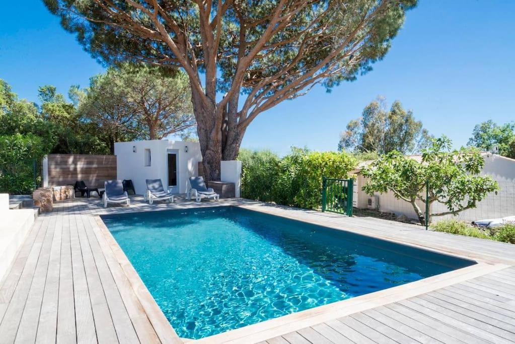 une piscine avec un arbre dans l'arrière-cour dans l'établissement Villa 4 personnes U Pinu, piscine partagée, 6 kms de porto vecchio, à Porto-Vecchio