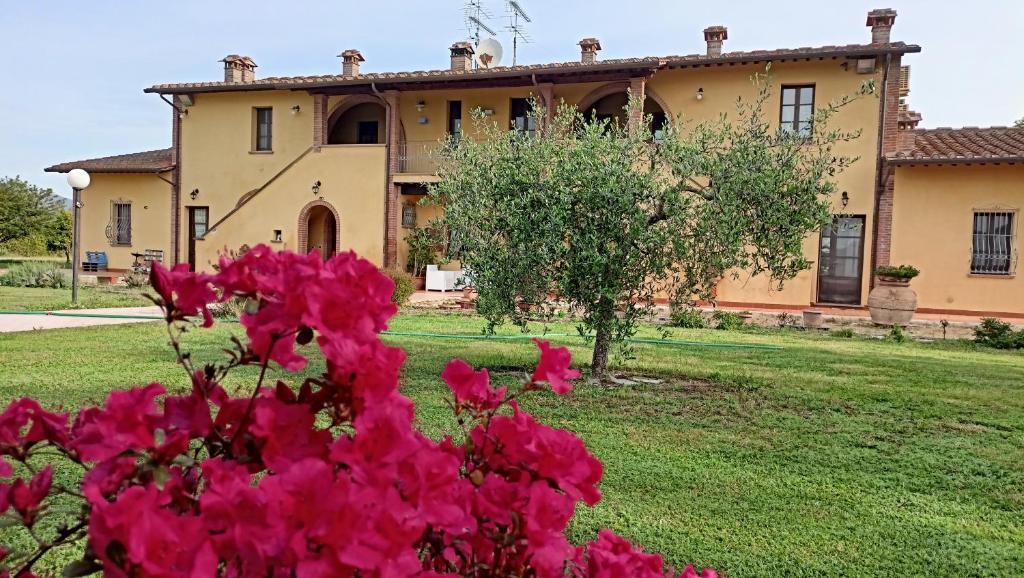 Zahrada ubytování il Chiassetto Agriturismo No Kids