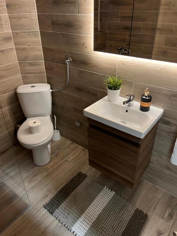 a bathroom with a white sink and a toilet at Apartmani Tesla in Soko Banja