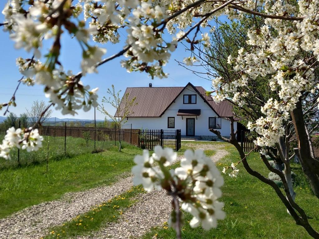 une maison blanche au milieu d'un champ de fleurs dans l'établissement Căsuța din Deal, à Tîrgu Neamţ