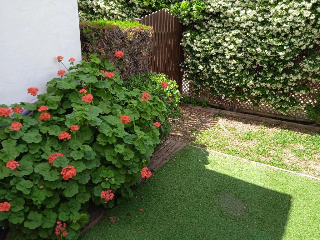 Zahrada ubytování Estepona - Playa - Estudio al lado del mar Jo18