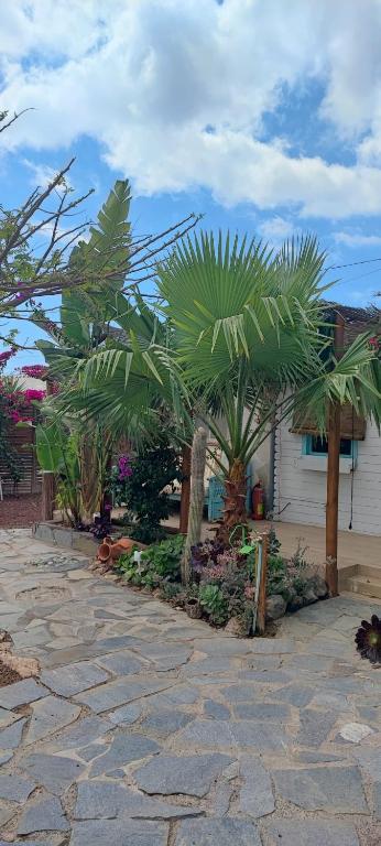 Zahrada ubytování Beautiful Bungalow en VV con wifi,netflix cerca del mar