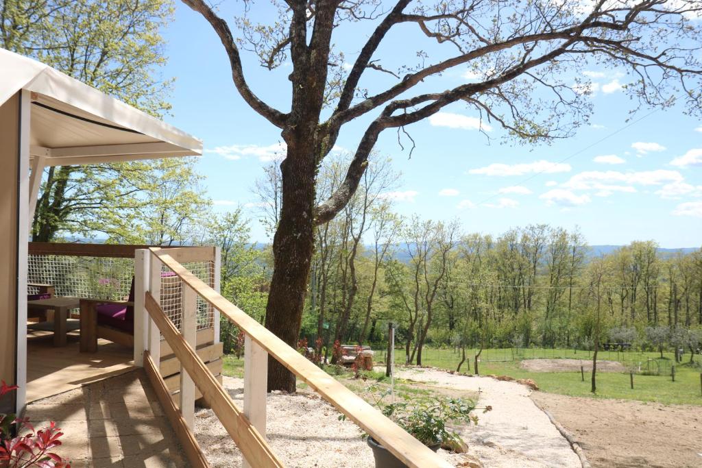 Příroda nedaleko luxury tent