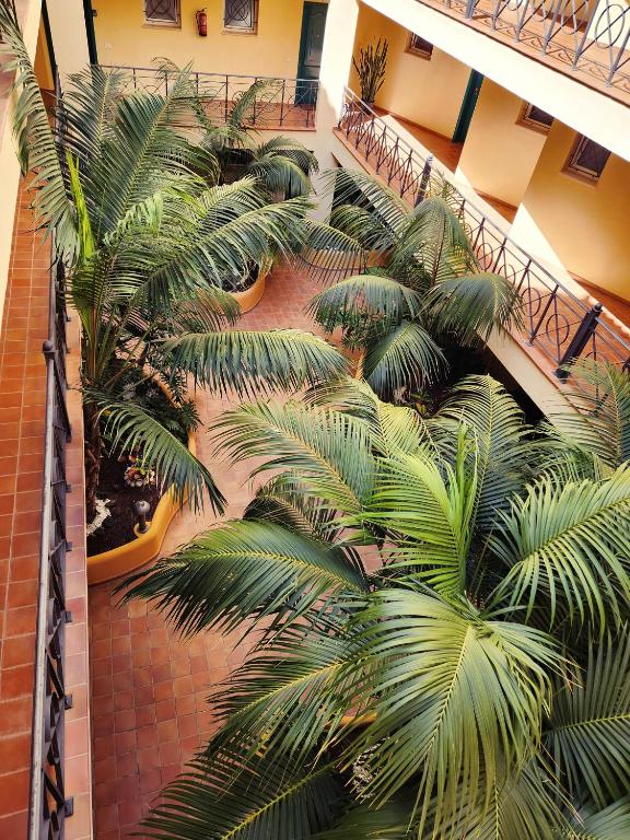 Booking.com: Sunshine Apartment Beach , Los Cristianos ...