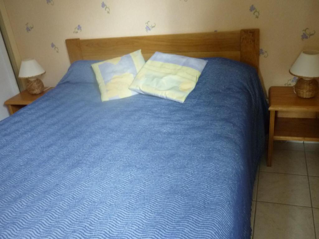 Fotografia z galérie ubytovania Les Pétunias v destinácii Vic-sur-Cère