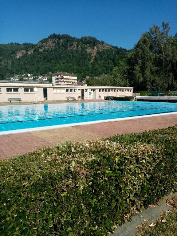 Fotografia z galérie ubytovania Les Pétunias v destinácii Vic-sur-Cère