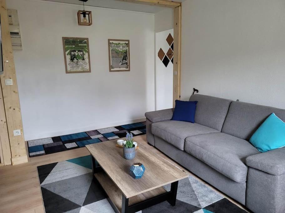 un salon avec un canapé et une table basse dans l'établissement domaine du nuton sauvage, à Charleville-Mézières