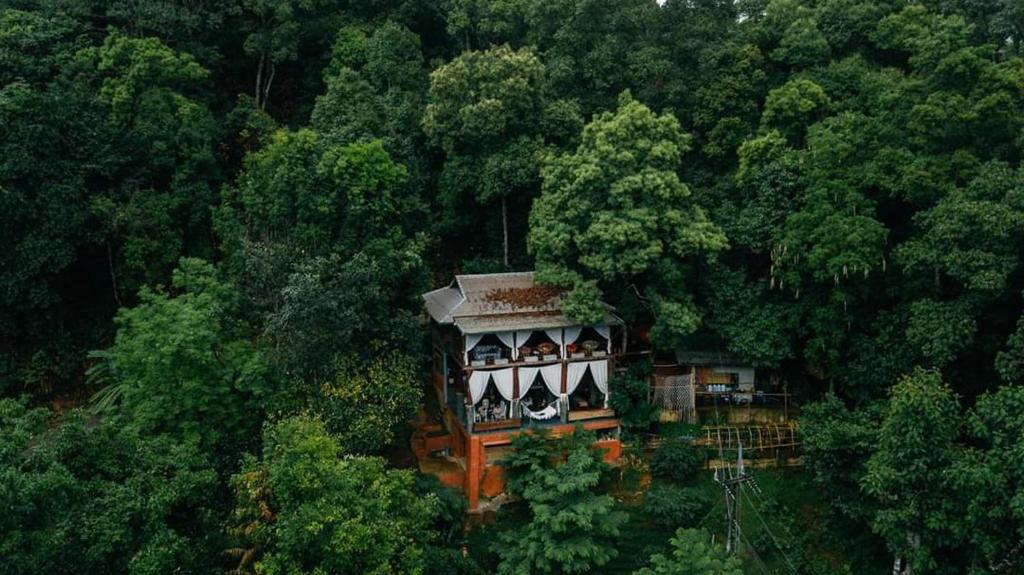 an aerial view of a house in the middle of a forest at ทโล้ โฮมสเตย์ เชียงใหม่ | Taloh Homestay Chiangmai in Mae On