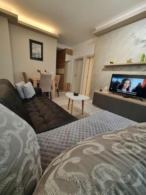 TV a/nebo společenská místnost v ubytování Apartman Rojal Vranje