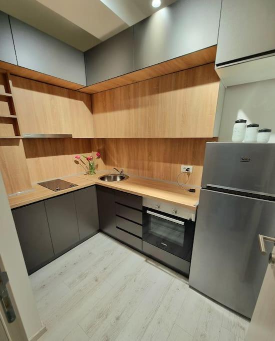Kuchyň nebo kuchyňský kout v ubytování Apartman Rojal Vranje
