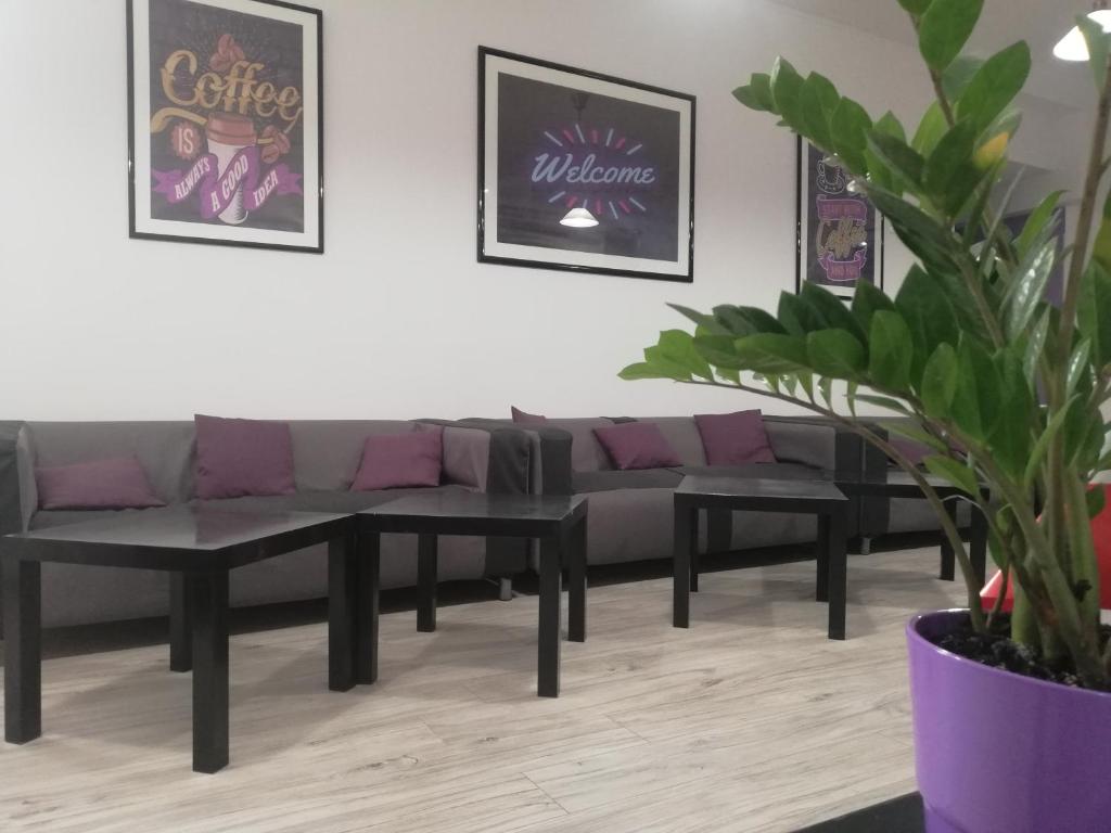 un salon avec des canapés et une plante en pot dans l'établissement Lorf Hostel&Coffee, à Cracovie