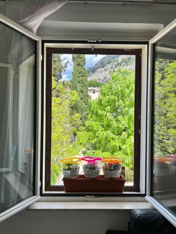 three bowls on a window sill with a view at Apartment Kiki in Kotor