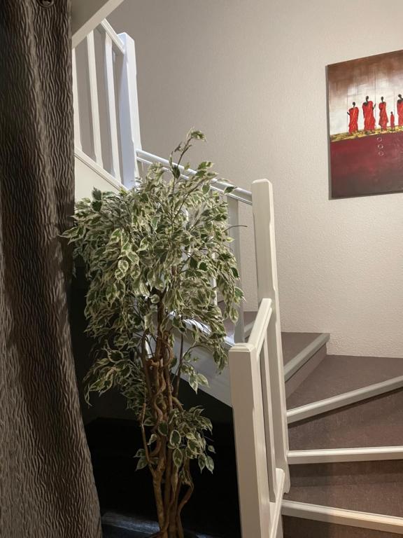Fotografie z fotogalerie ubytování Kyriad Direct Limoges Nord v destinaci Limoges