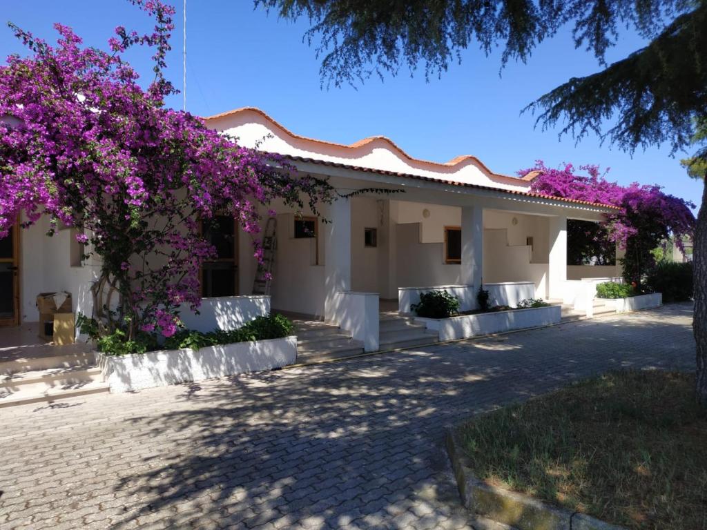 Una casa con flores púrpuras a un lado. en Villa Mirabilis, en Vieste