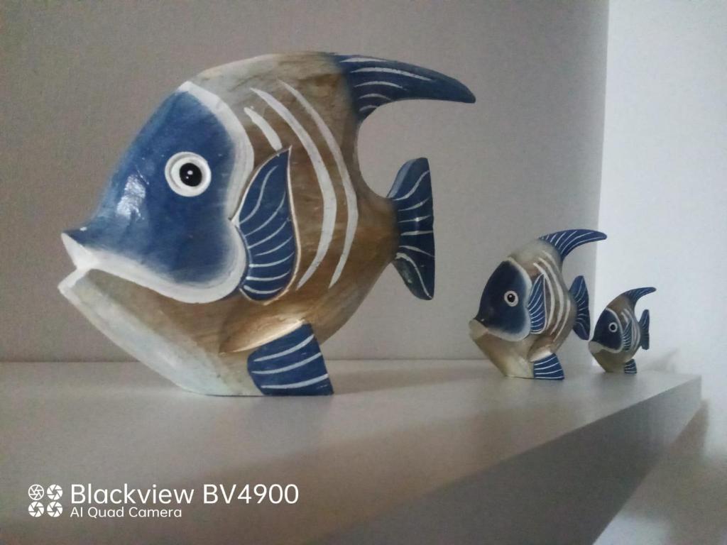 Φωτογραφία από το άλμπουμ του Domus plano de laczarulo Acciaroli σε Acciaroli