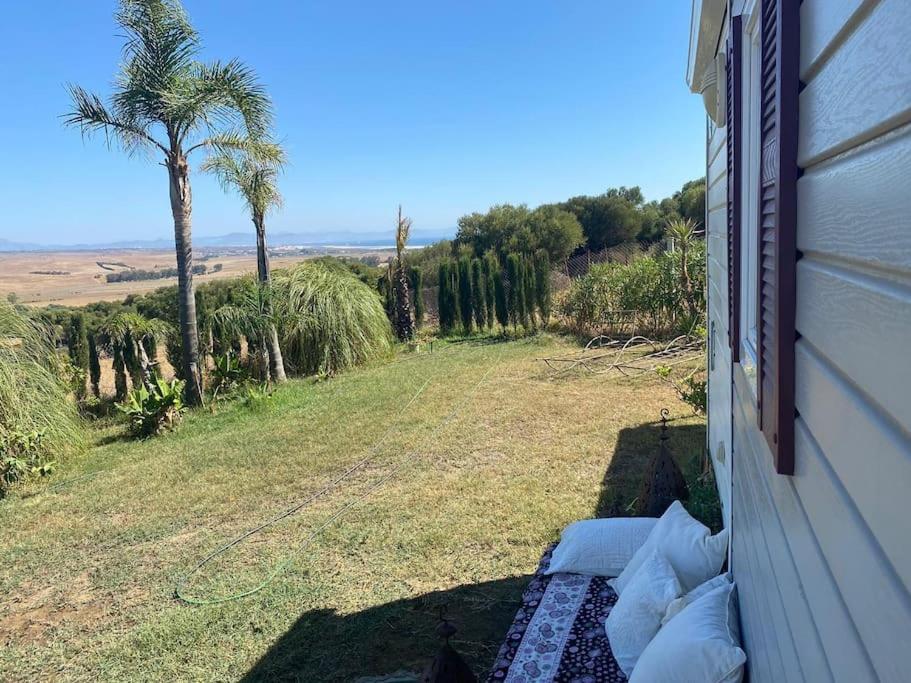 uma vista para um quintal com uma palmeira e uma casa em Cozy cottage in nature, with Garden and Sea View & Fast 350mbps Wi-Fi em Tarifa