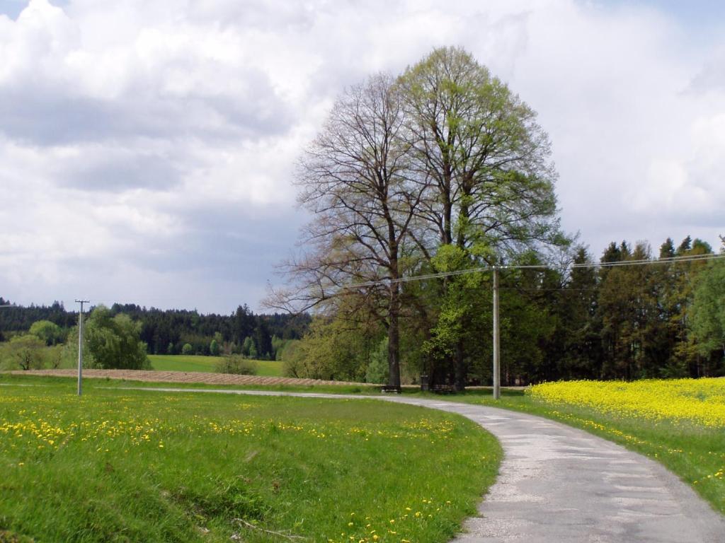 Příroda nedaleko aparthotelu