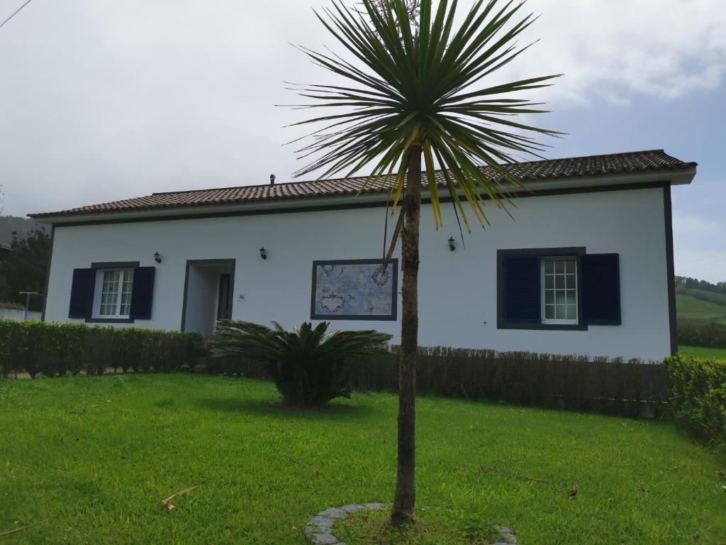 a palm tree in front of a white house at Vila Mendonça in Povoação