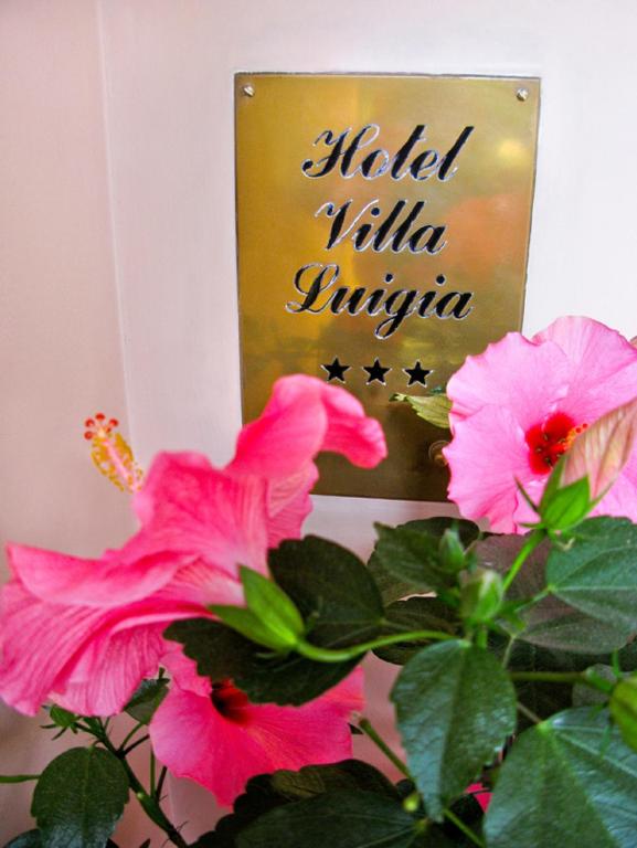 Hotel Villa Luigia - Resim 33