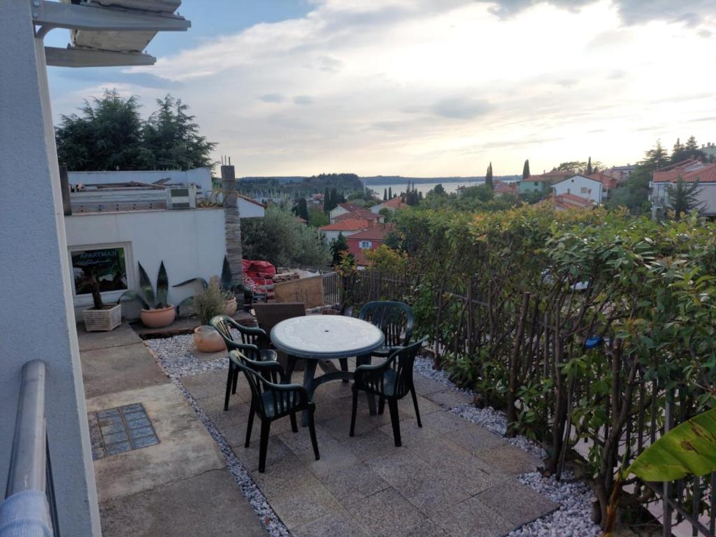 Zahrada ubytování APARTMENT RAFAELLO