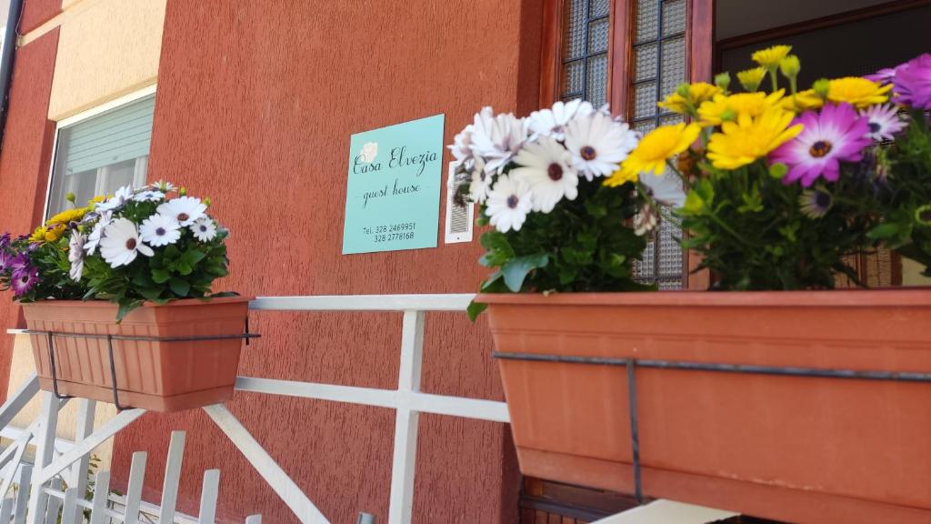 dois potes de flores na lateral de um edifício em Casa Elvezia Guest House em SantʼElpidio a Mare