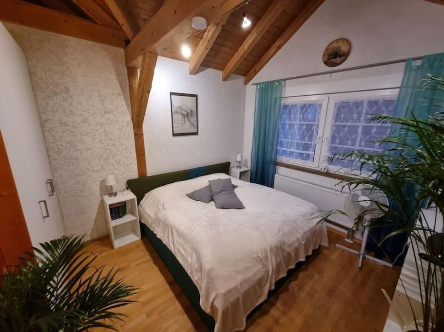 um quarto com uma cama e uma grande janela em Gemütliche Dachgeschosswohnung em Erfurt