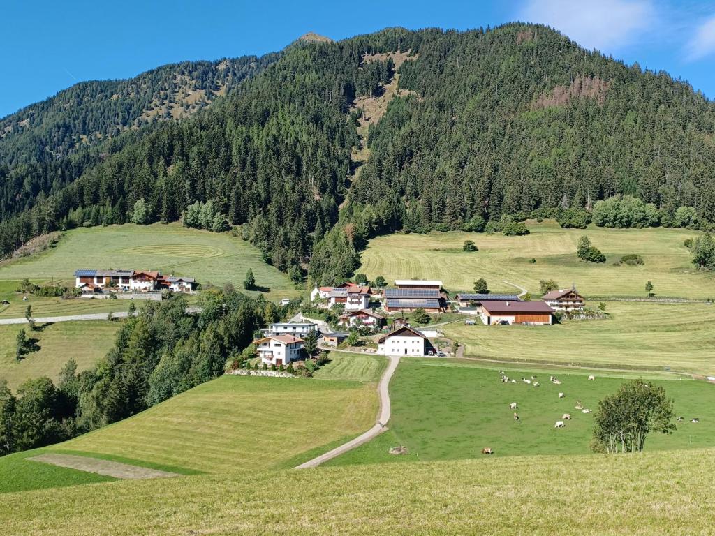un pequeño pueblo en una colina con ovejas en un campo en Pfitscherhof, en Campo di Trens