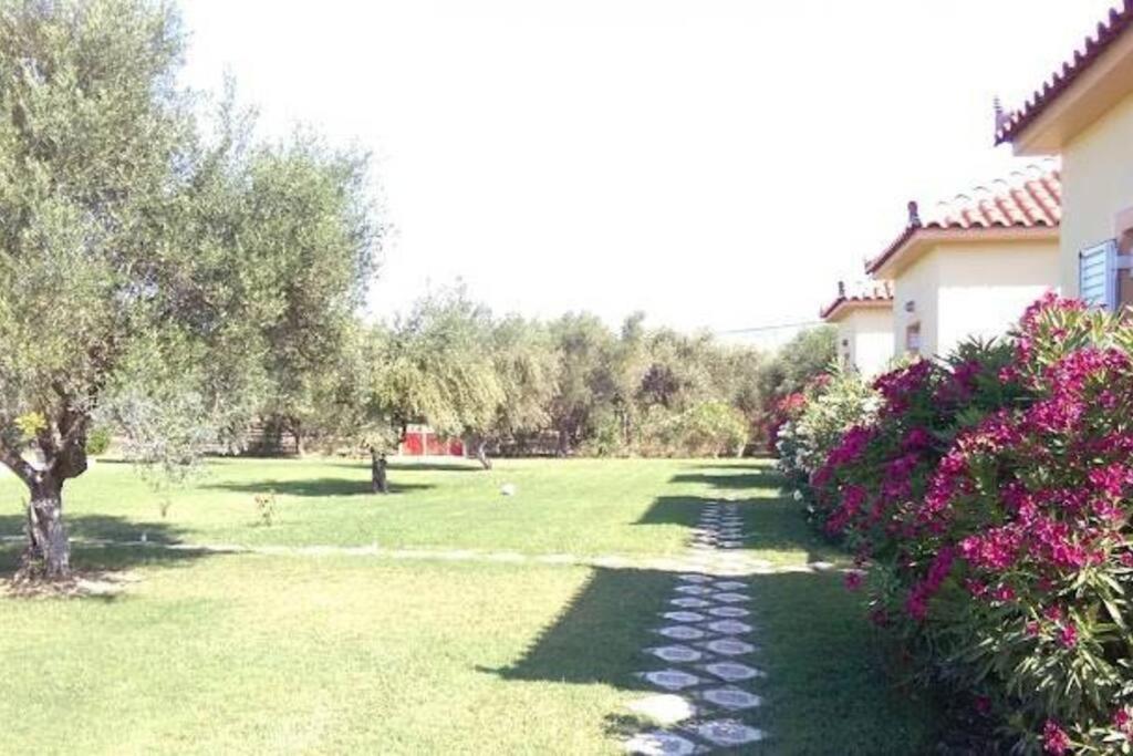 a grass yard with a house and trees and flowers at Phyllida Guest House - M4 in Zakharo